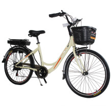 New model  electric bikes 2015-2019/electrically assisted bicycles/electric motorcycle conversion kit